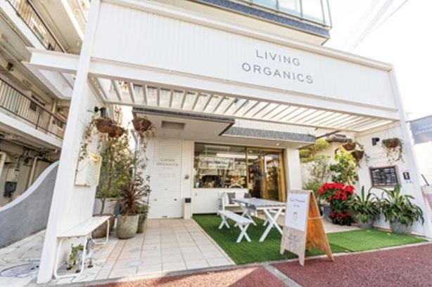芦屋店です!