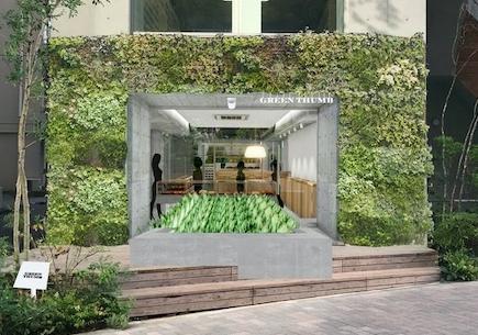 GREEN THUMB