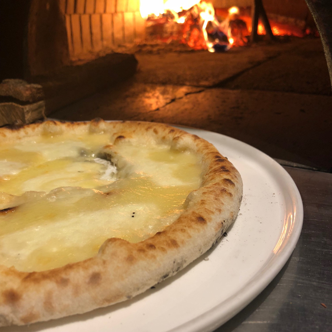 イタリア輸入の薪窯