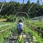 長野の提携農家さんから新鮮な野菜を直送で