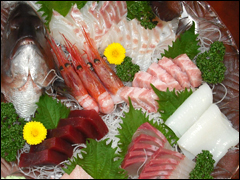 地元で獲れる活きの良い鮮魚のお造り