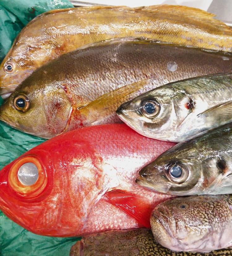 魚介には特にこだわっています!