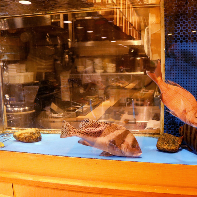 すし・活魚 魚蔵 肥後橋店