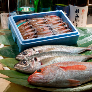 いろいろな魚種に触れられます!