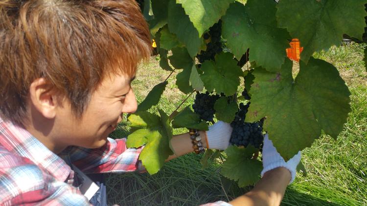 生産者さんに空いにワイナリーへ