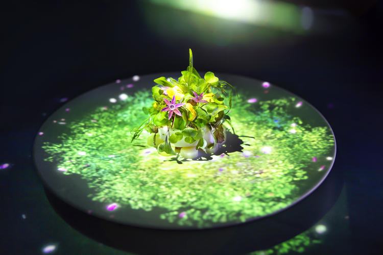 New senses experienc
