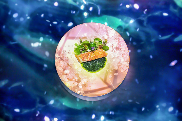 料理に映像をあてる唯一無二なお店