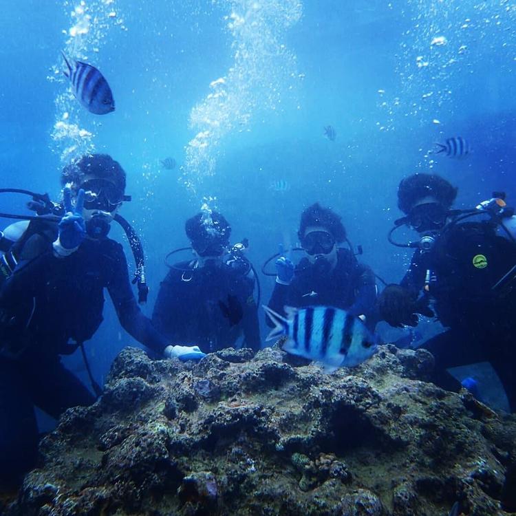 社員旅行沖縄♪2019年は海外旅行♪