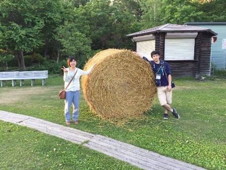 サンセリテ北の小麦