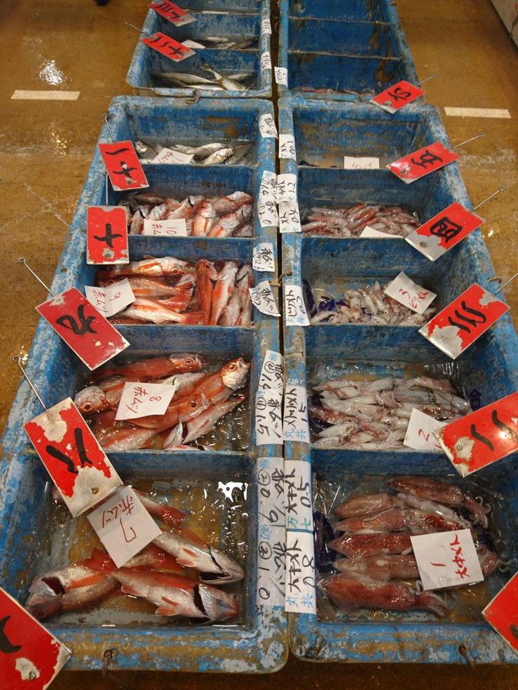 地魚料理 松輪