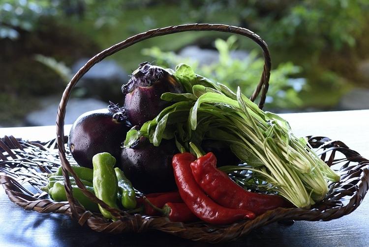 夏の京野菜