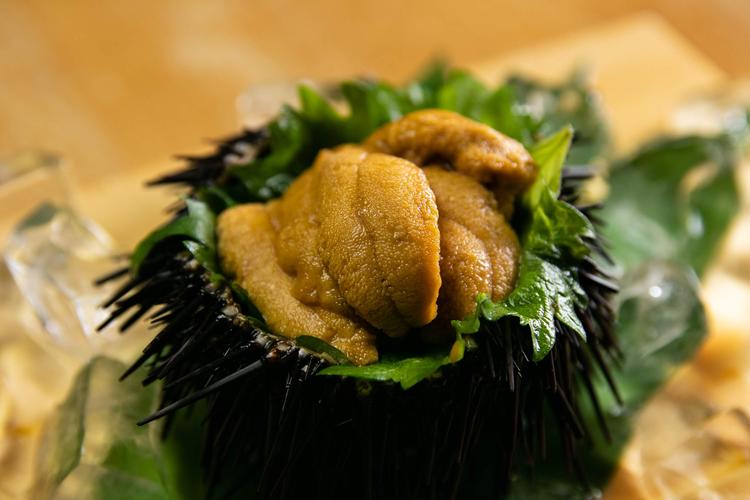 漁師さんから直接仕入れています!