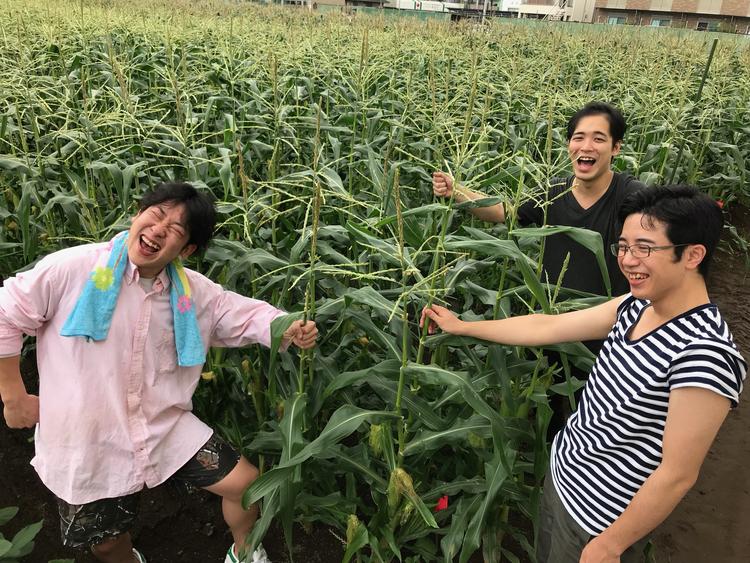 農家さんと時間が合えば野菜収穫に行きます