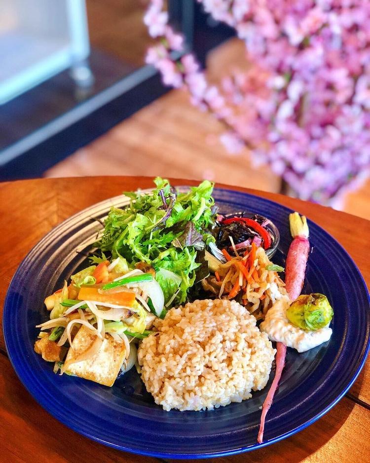 平日限定ベジデリ定食