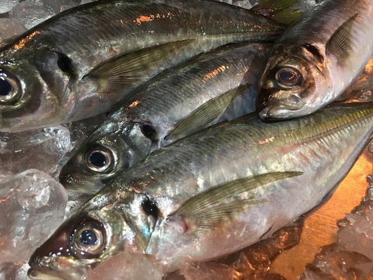 魚も捌けるようになります!