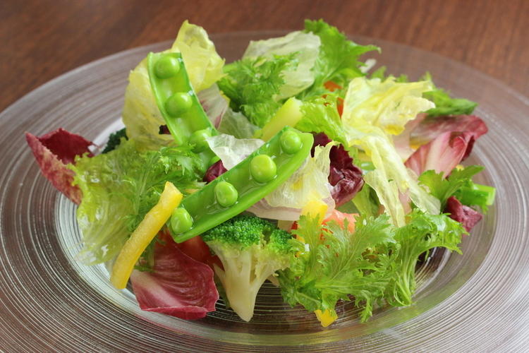 サラダの野菜もガストロバックを使用