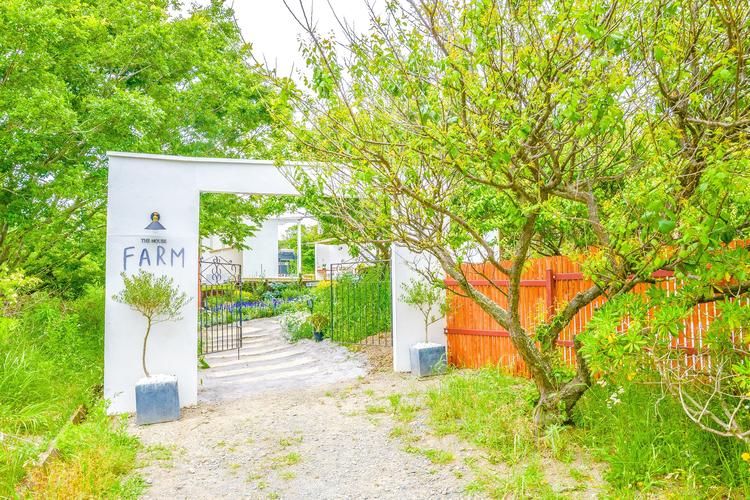 THE HOUSE FARM