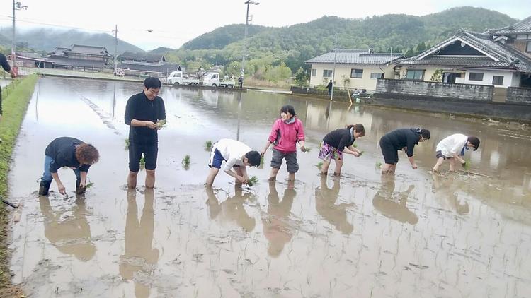 田植え研修
