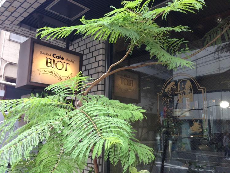 店頭には季節の花など緑が並びます