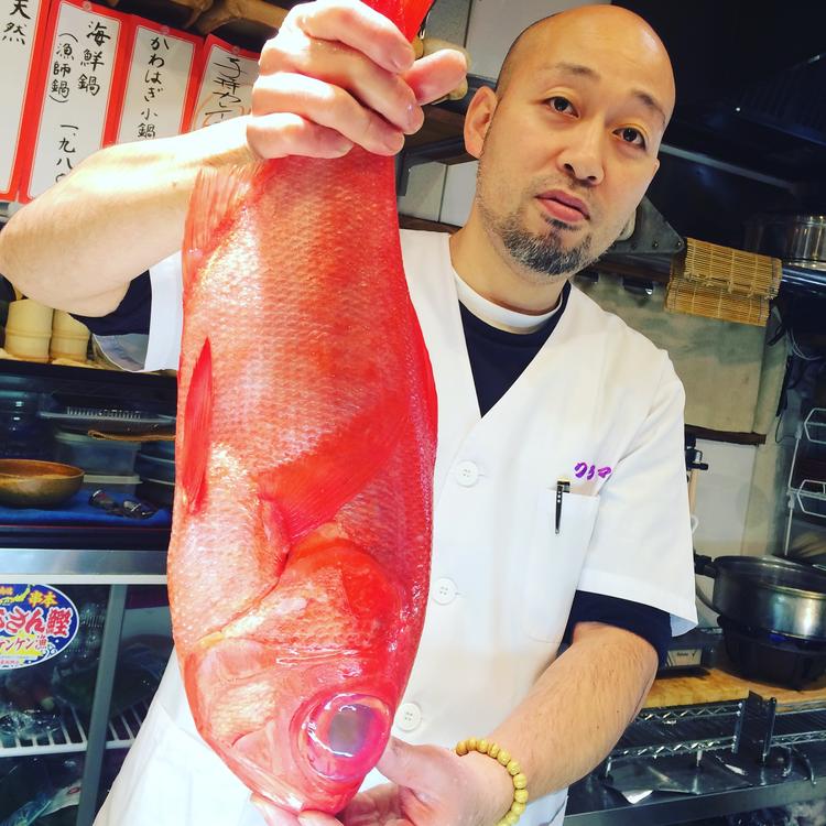 鮪と旬の鮮魚はこだわってます。