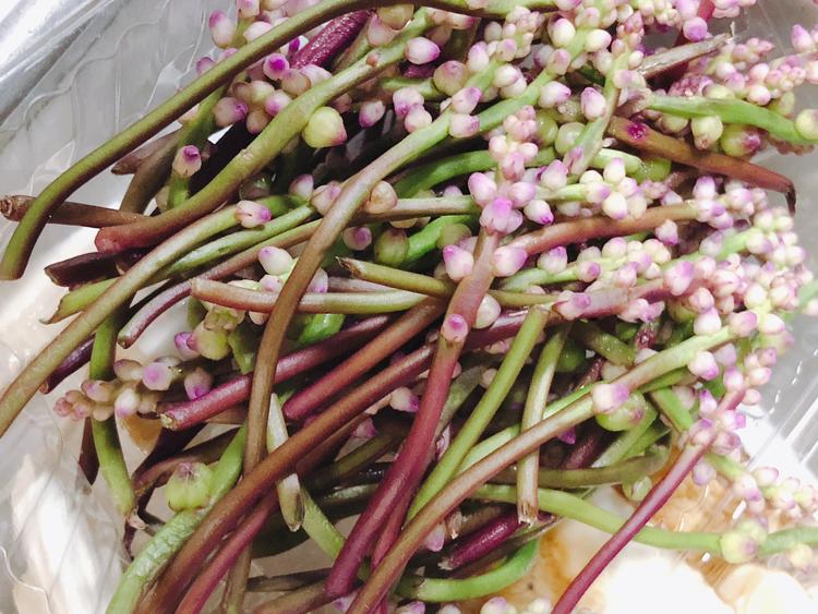 市場仕入れだとこんな食材も…ツルムラサキ