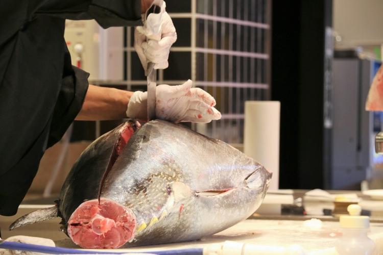 マグロ素人も歓迎◎
