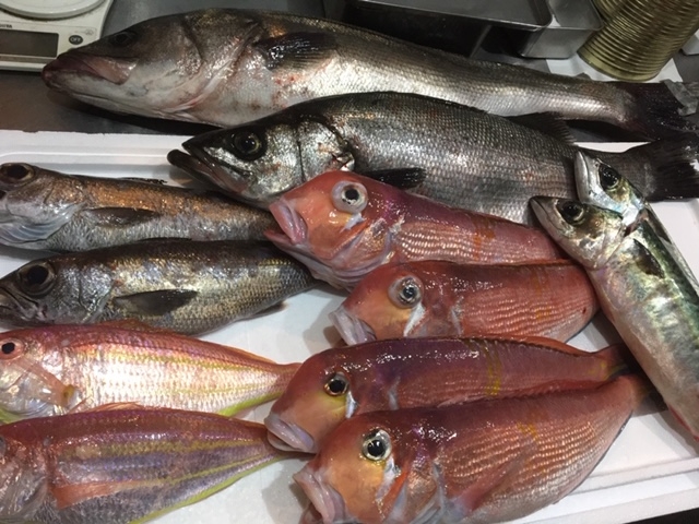 当店のメニューは食材からこだわっています