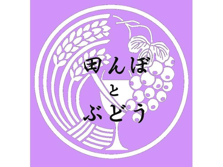 田んぼとぶどう