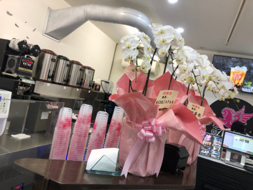 Openしたばかりの店内