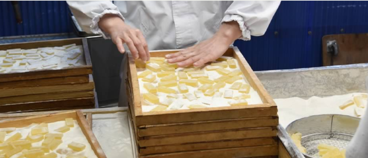 仕事は軽作業ですのですぐに覚えられますよ