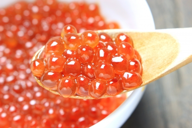 素材にこだわった料理の数々