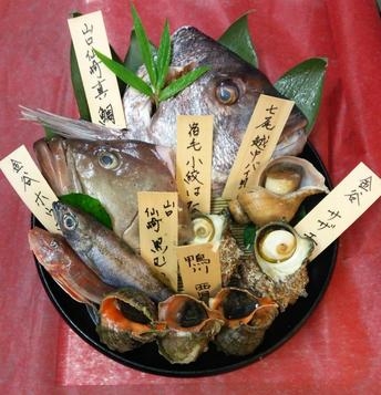 毎日入荷!産地直送の新鮮な鮮魚!