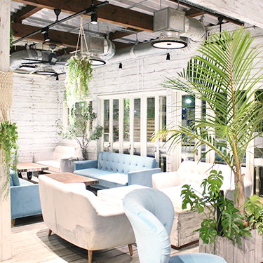 Coral Kitchen at Cove