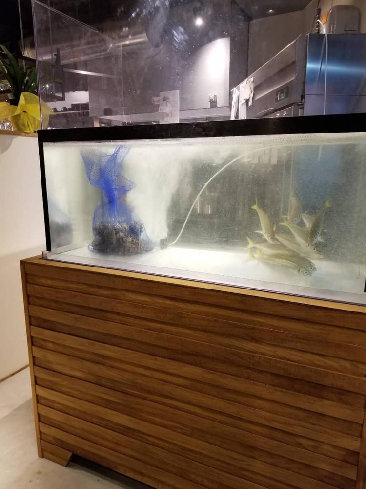 生簀のある居酒屋