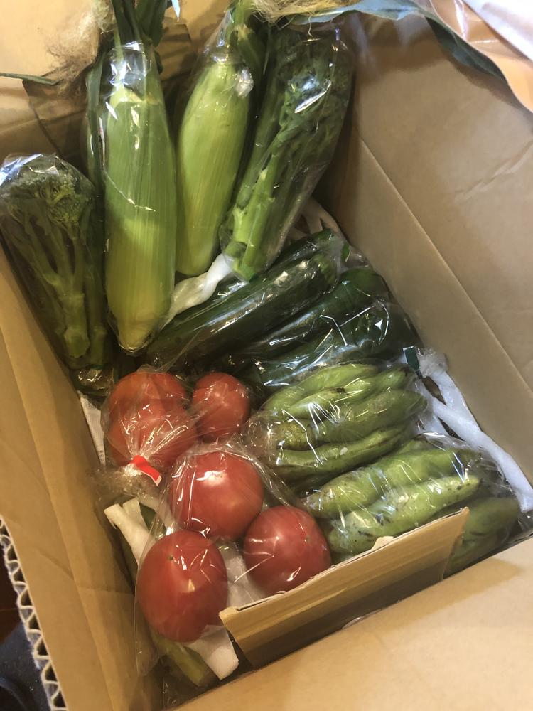 宮崎県都城の農家さんから届く野菜