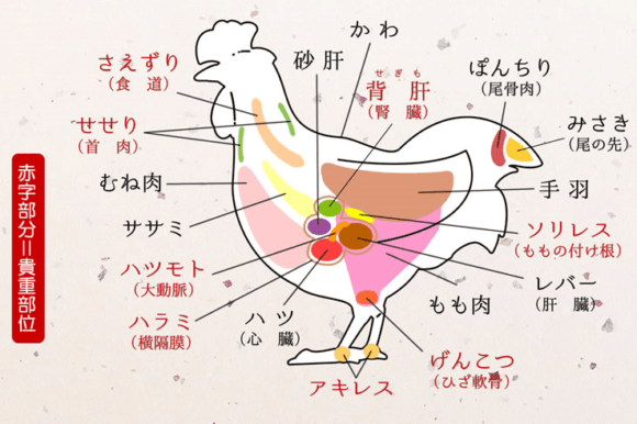 他店では珍しい部位もたくさん(驚)