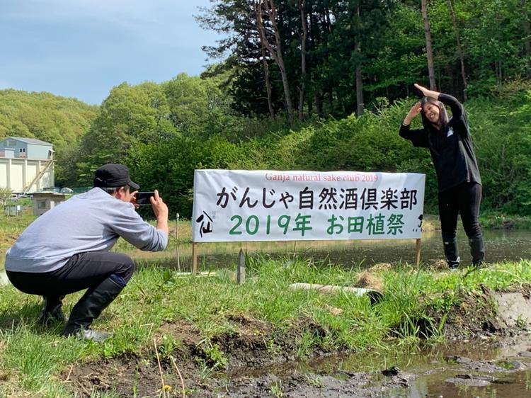 陸奥八仙の田植え体験も!