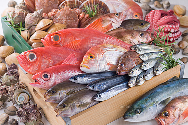 鮪以外の市場直送の鮮魚も用意しています