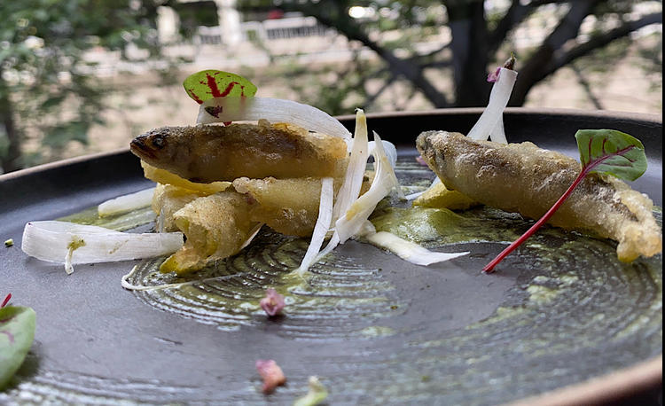 使える魚種も様々