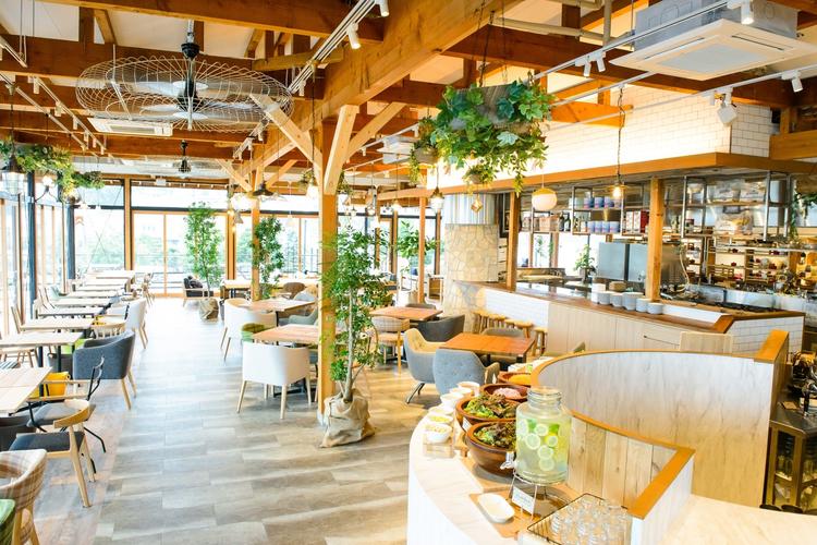 kino COCOCHI YOKOHAMA