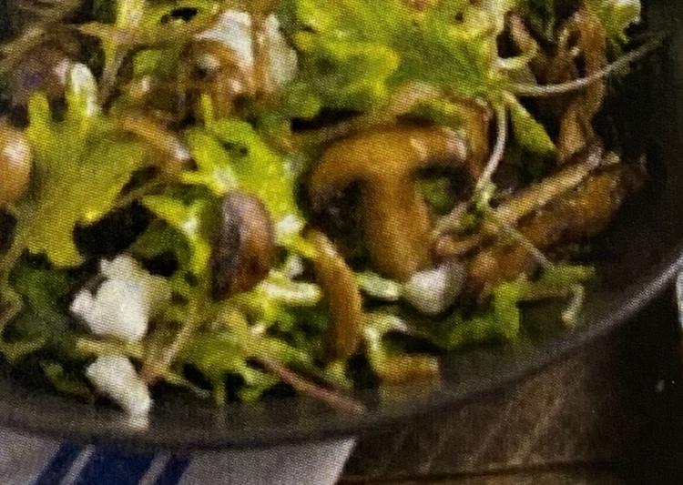地元食材にこだわりご提供