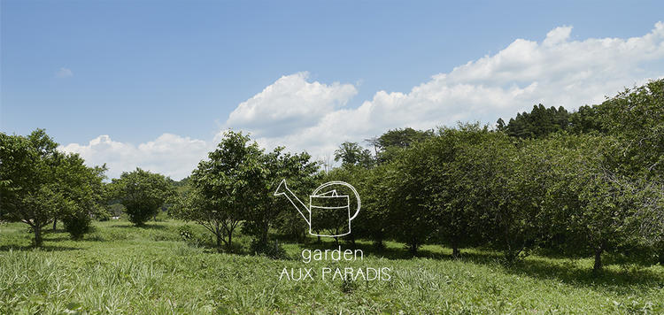 AUX PARADISカフェ