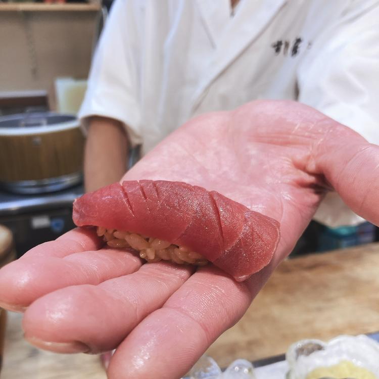 天然生ホンマ 中トロ 480円