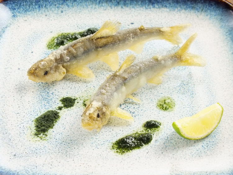 素材の味をいかした繊細な和食をご提供