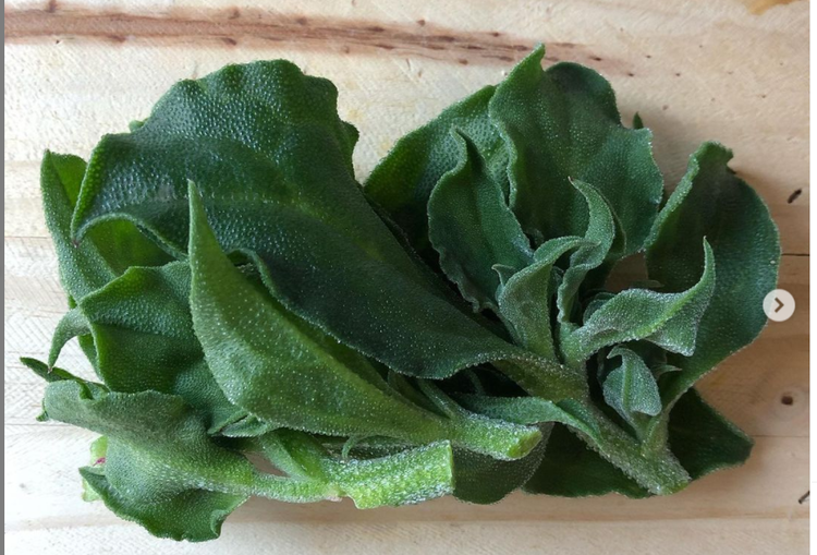 販売している野菜で作るお惣菜も絶品!