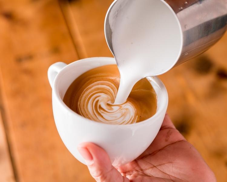 conceal.cafe MIYAMASUZAKA