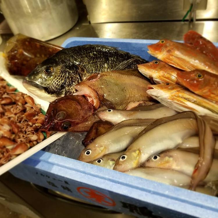 舞鶴漁港から直送される鮮魚◎