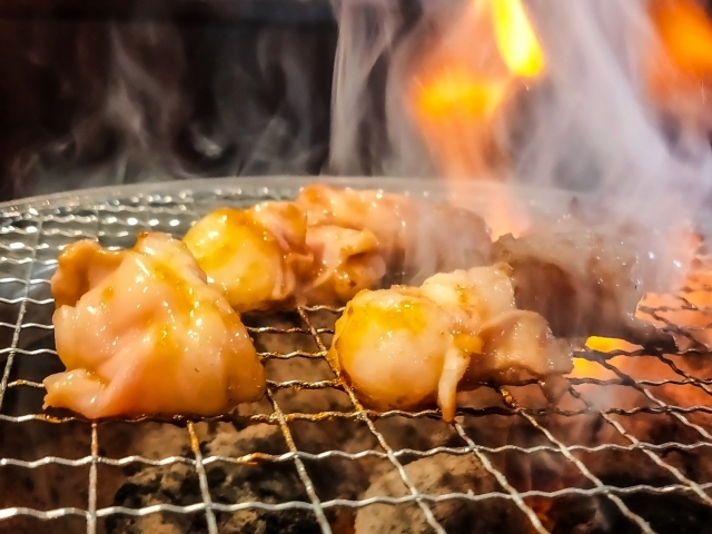 ハラミ再生酒場 肉のコバヤシ