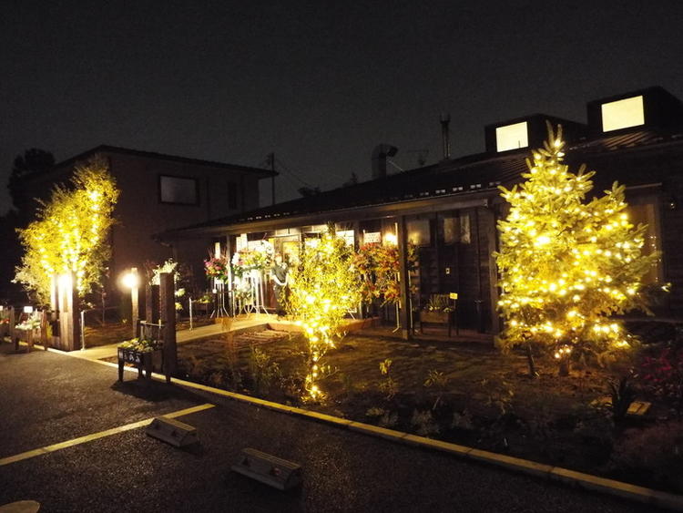 夜はロマンチックな雰囲気