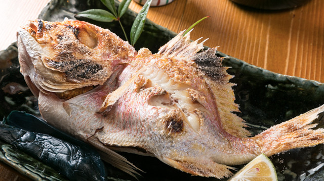 魚に詳しくなれる!